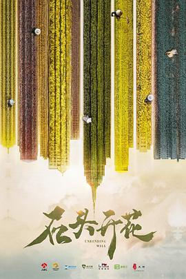 石头开花第08集