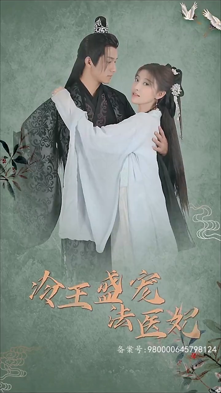 凤还巢：冷王盛宠法医妃第02集