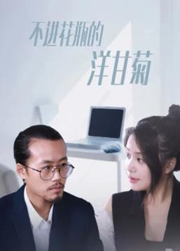 不进花瓶的洋甘菊09