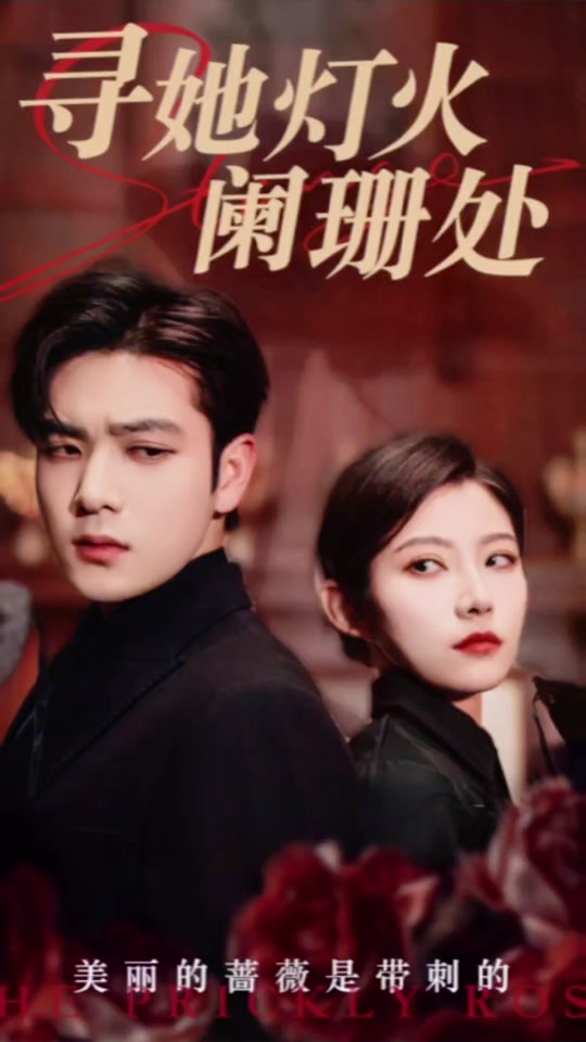 寻她灯火阑珊处全集(大结局)
