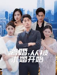 离婚从被求婚开始全集 (下)