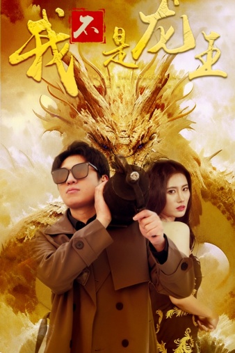 我不是龙王全集 (下)