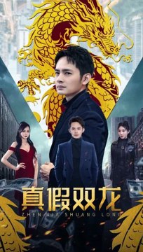 真假双龙全集 (上)(大结局)