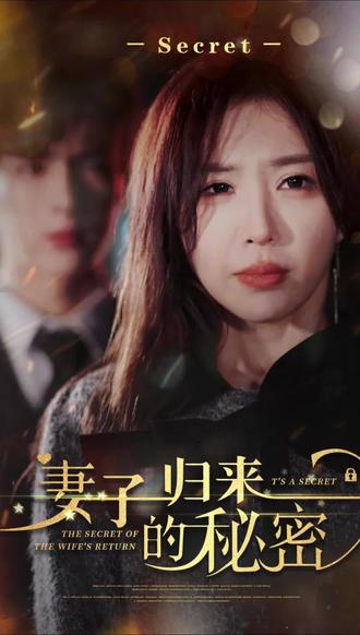 妻子归来的秘密全集 (下)