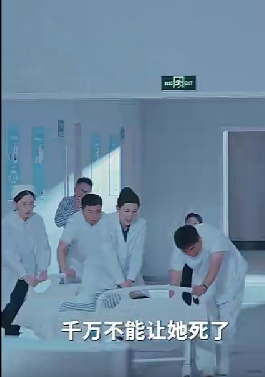 晨曦全集(大结局)