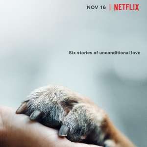 爱犬情深第01集