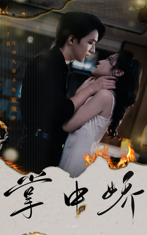 掌中娇全集(大结局)