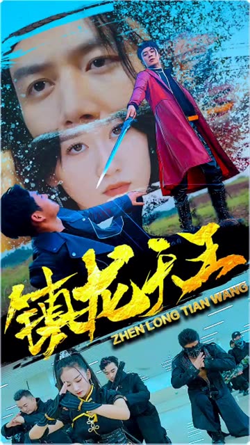 镇龙天王全集(大结局)