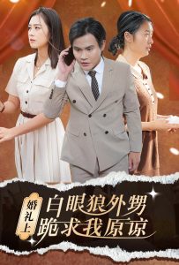 婚礼上白眼狼外甥跪求我原谅全集(大结局)