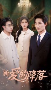 新爱的降落全集(大结局)