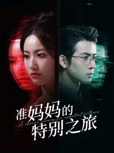 准妈妈的特别之旅第42集
