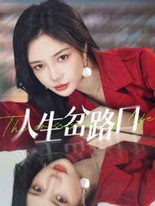 人生岔路口全集(大结局)