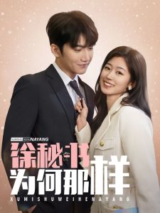 徐秘书为何那样全集(大结局)